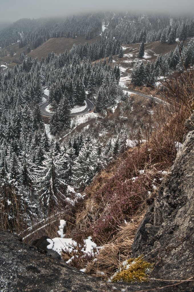 DSC_3747_stack | Unvergessliche Erinnerungen in Bildern festgehalten! Ob Hochzeit, Shooting oder Landschaft  - Ich bin dein Fotograf in Erfurt und Umgebung! Photo-Rauch | Sandro Rauch - Realisiert mit Pictrs.com