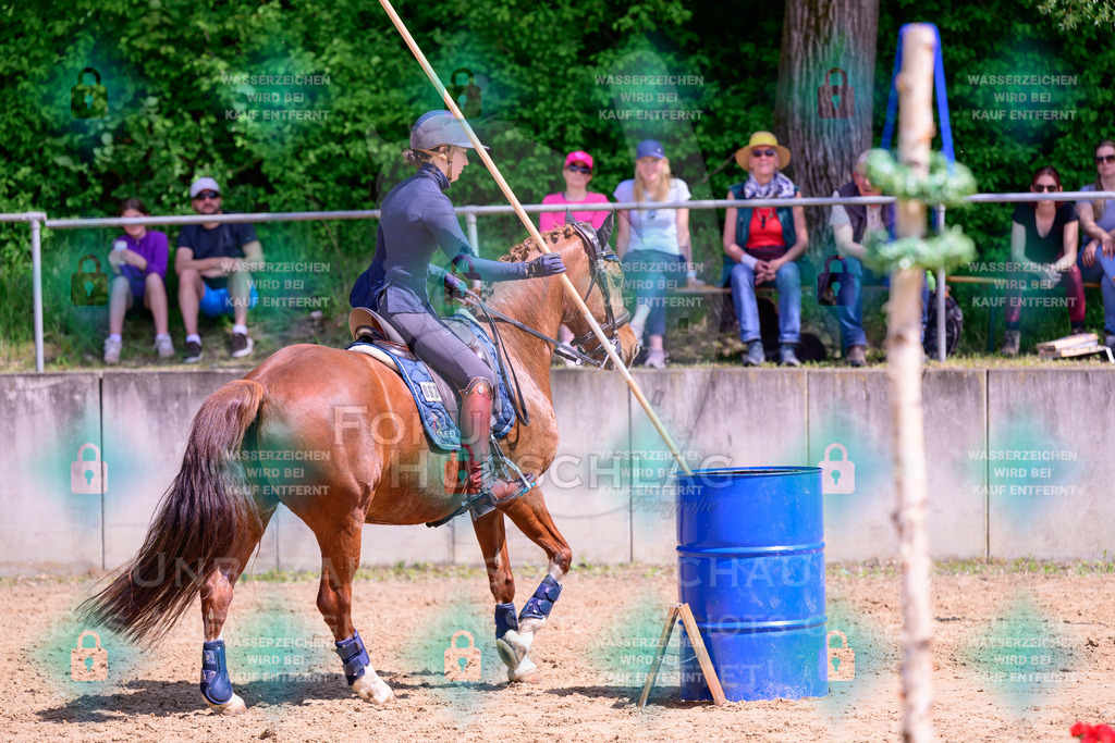 03052026-Giesenbach-05-Stiltrail-0697 | Fokus Hufschlag Fotografie - Realisiert mit Pictrs.com