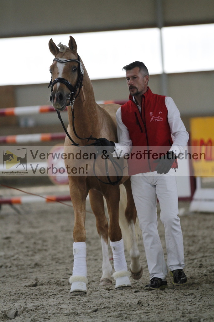 _MG_9788 | equestrian-live-com