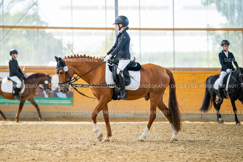 DSC01340 | Pferdegrafie