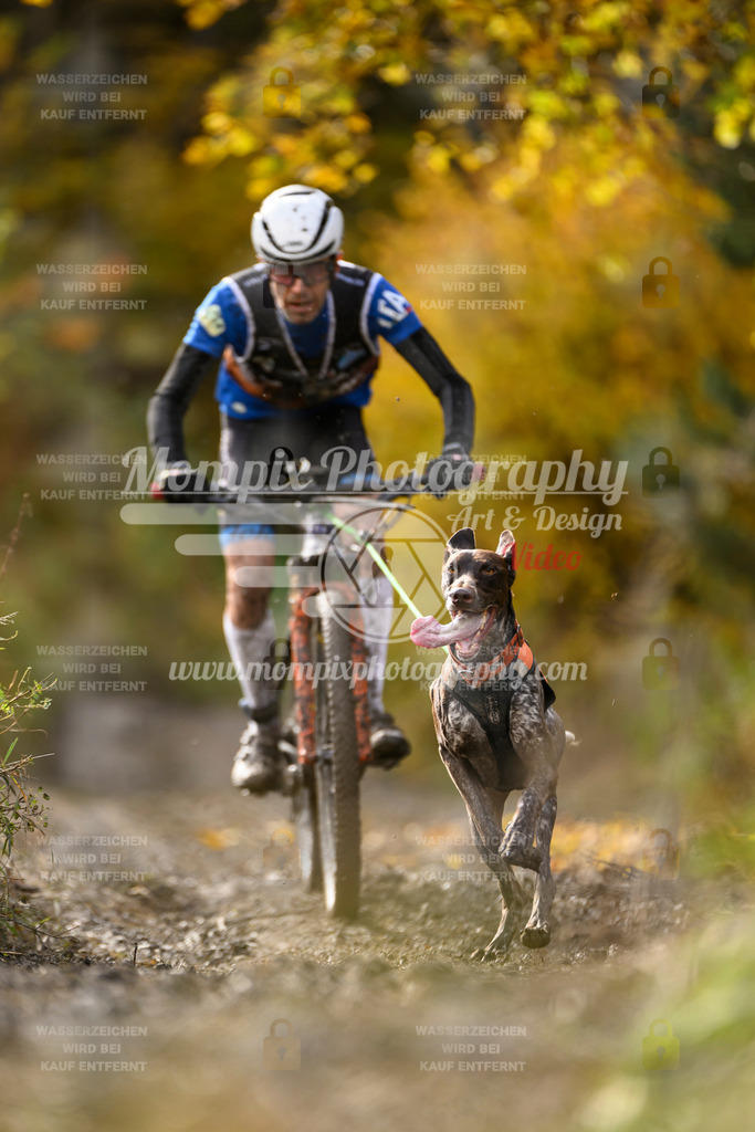 MompixPhotography_ICF_WC_2024_SA_Bike_-294 | PayLife