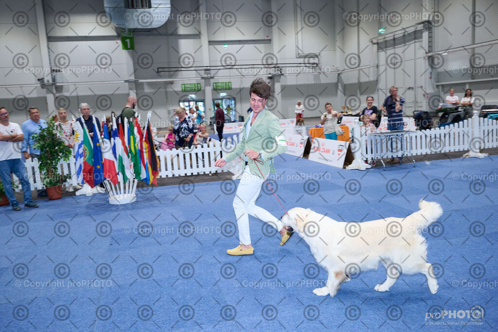 202406_ÖKV-IHA-Tulln24_NZ9_9603 | proPHOTO - Realisiert mit Pictrs.com