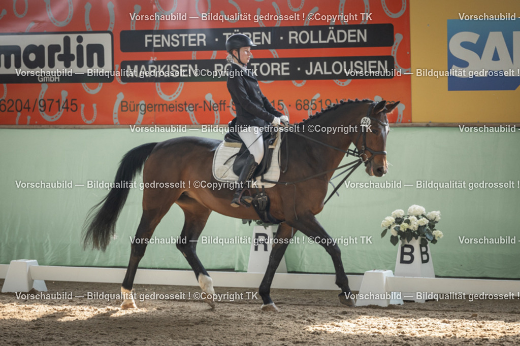 _D5A5472 | Emotionale Pferde- & People-Fotografie rund um Heidelberg, Leimen & Umgebung. Natürliche Fotos von Pferd, Mensch & Familie. Jetzt Termin sichern!