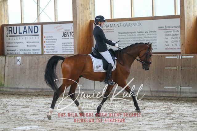 DKP43133 | Turnierfotos kaufen im Webshop von Daniel Kuhl Photography – entdecke professionelle Reitsportfotos aus Turnieren & Events. Hochwertige Turnierbilder online bestellen & sichern. Jetzt Fotos von Reitsportturnieren kaufen!