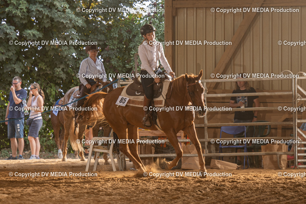 NID03604 | dv-media-shop - Realisiert mit Pictrs.com