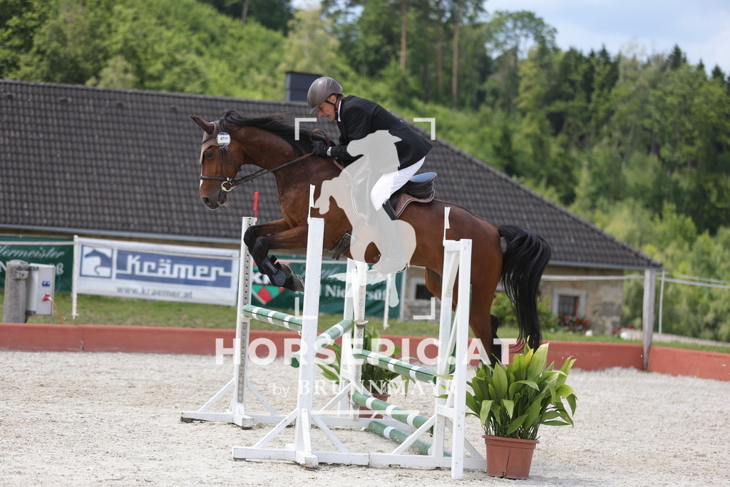 0P6A4035 | Willkommen bei Brunnmayr - Design & Fotografie – Ihrem Spezialisten für Reitturniere und Pferdeveranstaltungen in Oberösterreich, Salzburg und Bayern! Seit über 17 Jahren sind wir leidenschaftlich dabei.