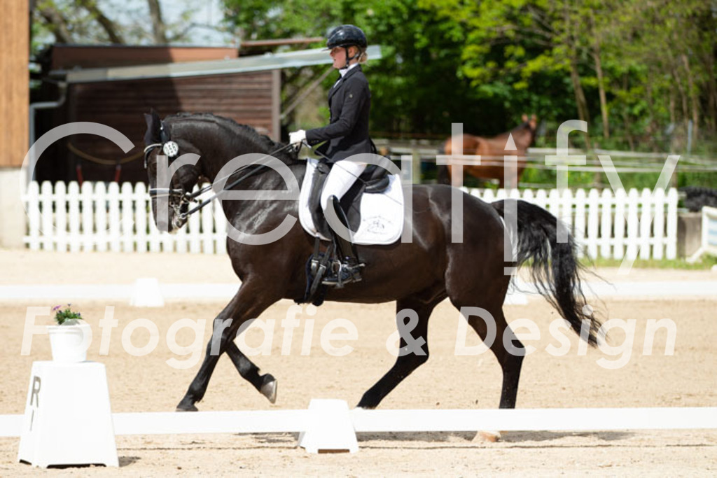 IMG_5885 | Creatify Fotografie