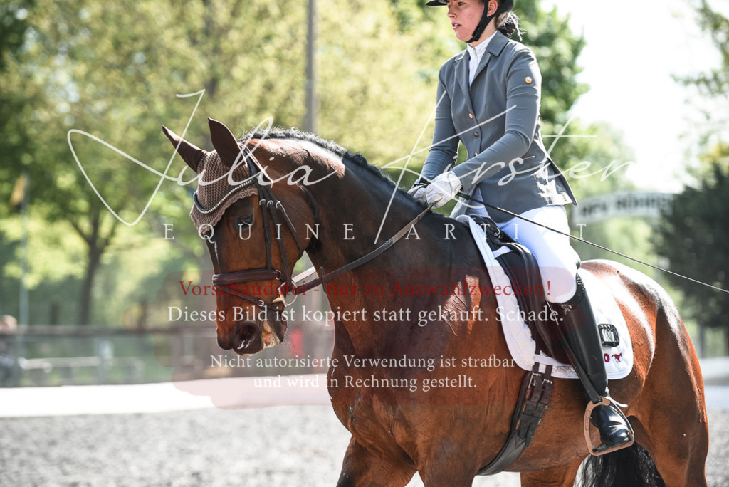 DSC_8972 | Pferde- und Turnierfotografie in Westsachsen. Pferdeportraits, Auftragszeichnungen und intuitive Kunst.