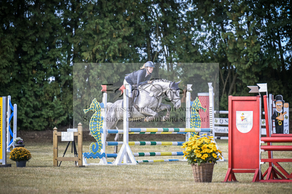 DOS_0553 | Entdecke hochwertige Reitturnierfotos von Foto Oger. Professionell, emotional und authentisch – jetzt Lieblingsmomente im Shop bestellen.Deutschlandweite Turnierfotografie. - Realisiert mit Pictrs.com