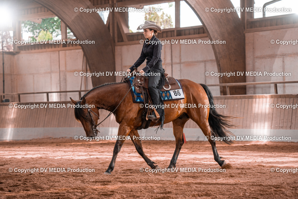 NE100394 | dv-media-shop - Realisiert mit Pictrs.com