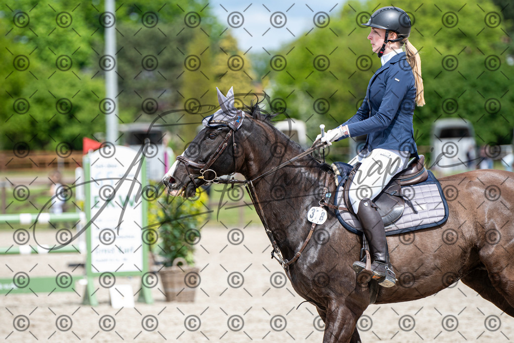 KPT_5729 | andre_photographic