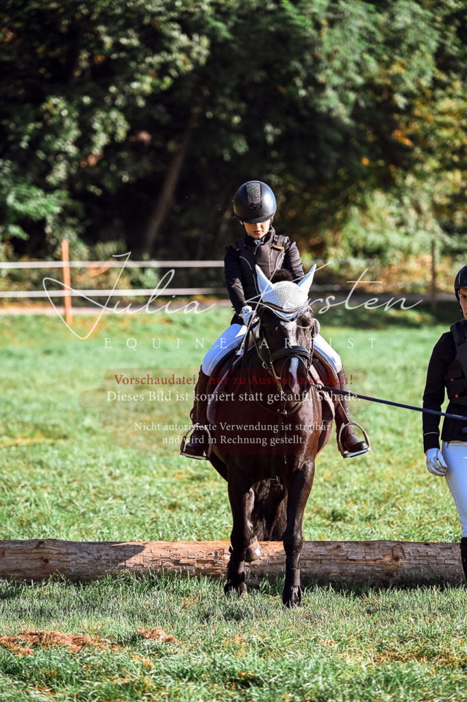 DSC_0356 | Pferde- und Turnierfotografie in Westsachsen. Pferdeportraits, Auftragszeichnungen und intuitive Kunst.