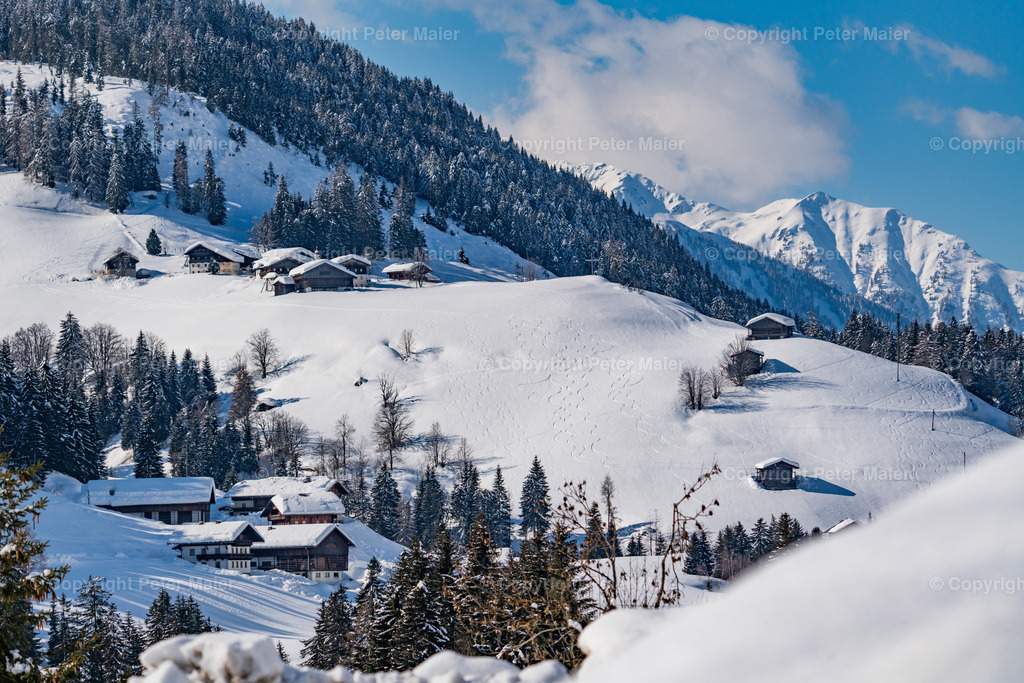 Langlauf_Lesachtal_21-172 | piet_flosse