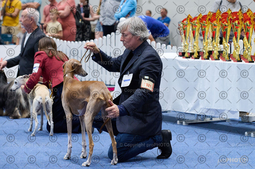 202406_ÖKV-IHA-Tulln24_DSC_4853 | proPHOTO - Realisiert mit Pictrs.com
