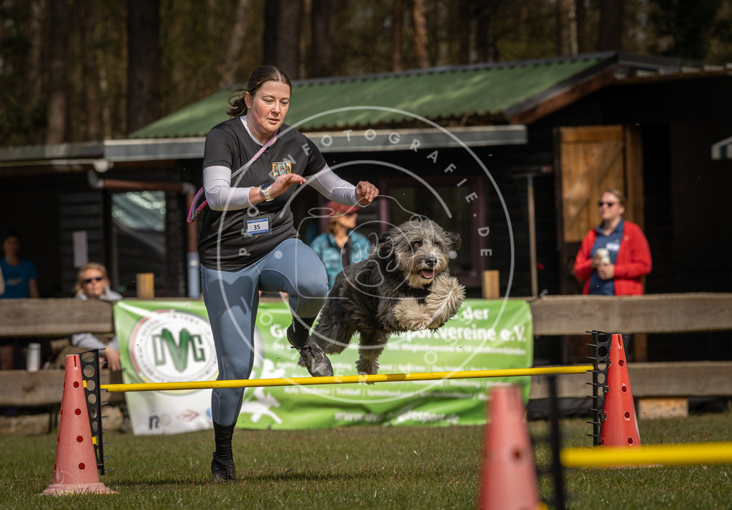 Pfotenfotografie_DV3A6343 | Hundefotografie, Tierfotograf, Pfotenfotografie, Fotoshooting Hund, Hunde Portrait, Hundesport, Hundeportraits, Heideshooting, Hunde, Sportfotograf, Hundefotograf, Turnierhundsport, THS,  - Realisiert mit Pictrs.com