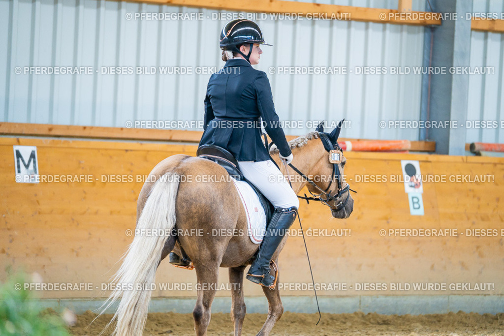 DSC07695 | Pferdegrafie