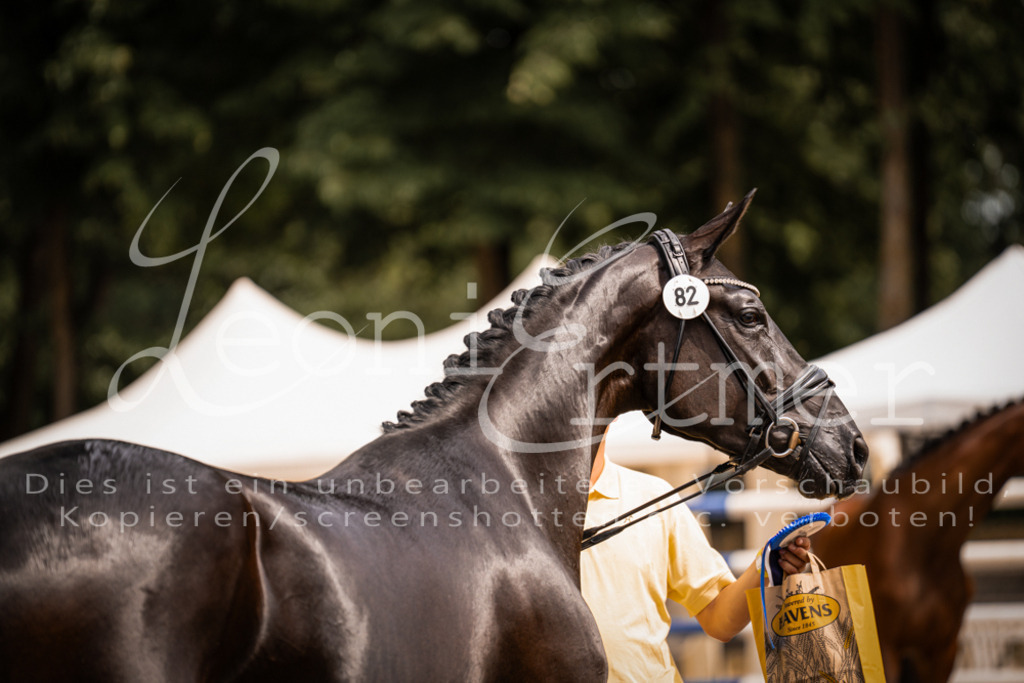 4.Fr00221 | Leoni Ertmer Photography - Realisiert mit Pictrs.com