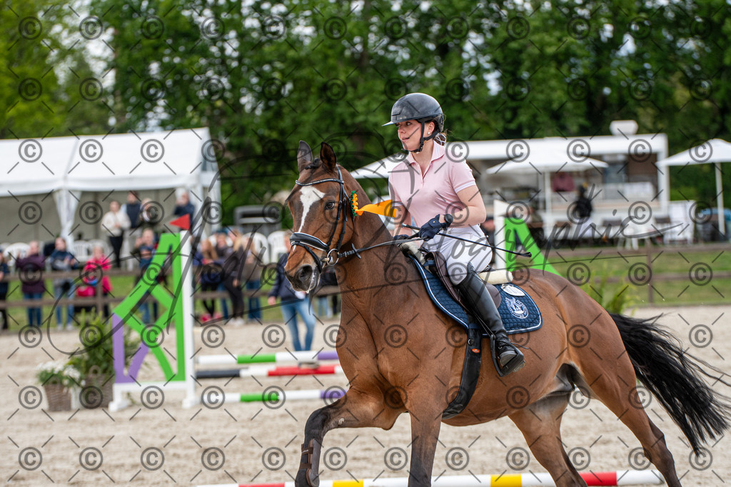 KPT_7442 | andre_photographic