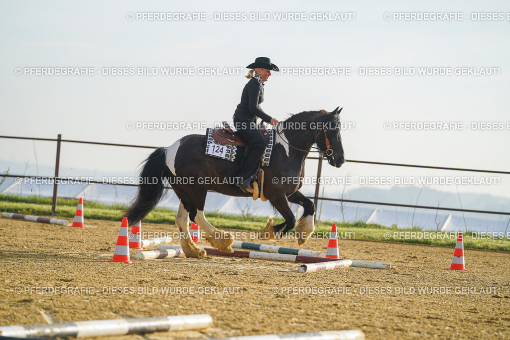 DSC09907 | Pferdegrafie