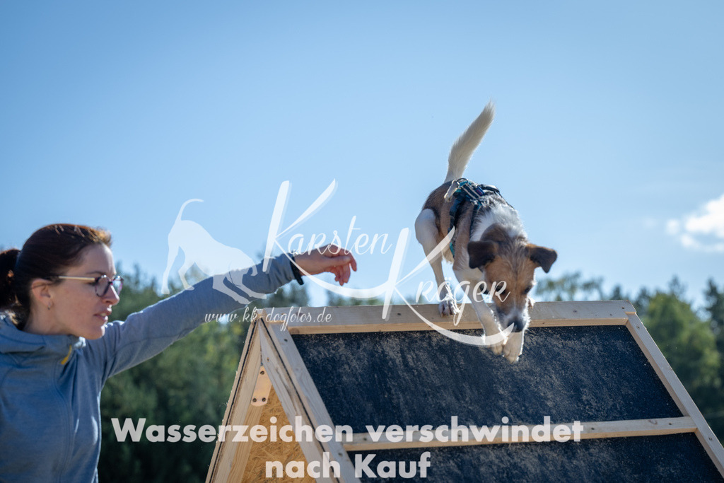 1222_ZZ92925-2 | kk-dogfotos