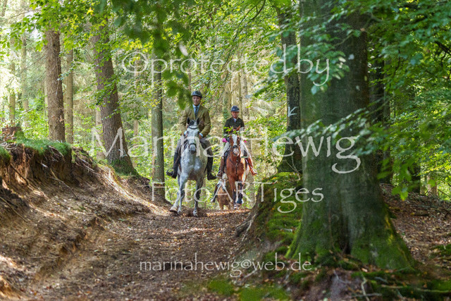 Jagd Perdoel_MarinaHewigMCH04654 | Fotografie, FotoArt, PferdesportArt, Pferdesportfotografie, Landschaftsfotografie, Reisefotografie, Reise, Pferde - Realisiert mit Pictrs.com