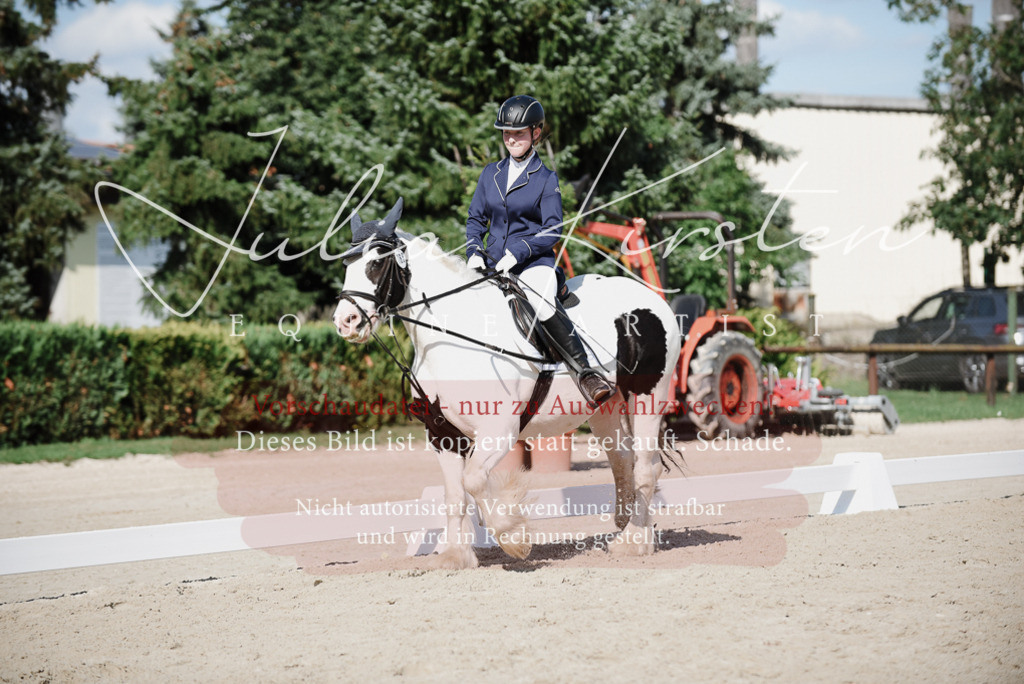 DSC_0111 | Pferde- und Turnierfotografie in Westsachsen. Pferdeportraits, Auftragszeichnungen und intuitive Kunst.