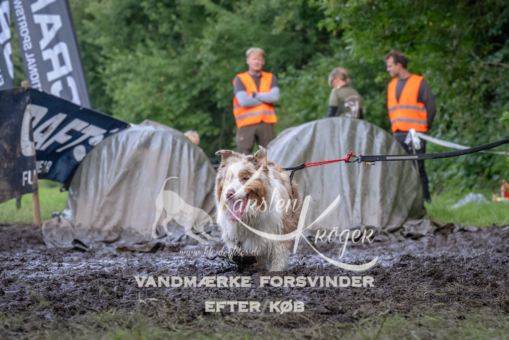 1732_ZZ92562 | kk-dogfotos