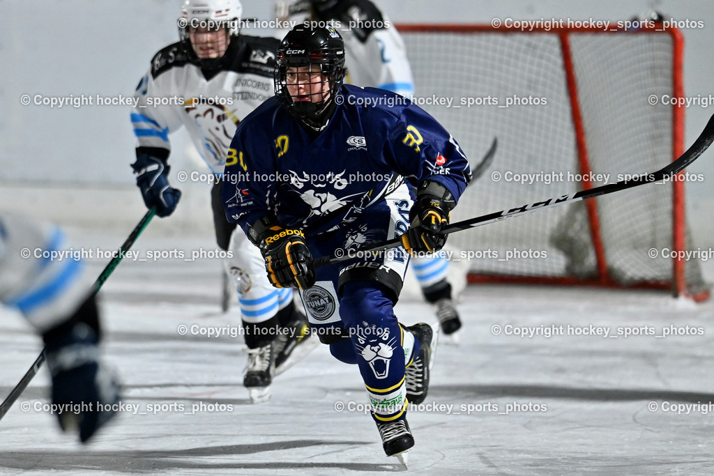 Wildcats Paternion vs. Unicorns Steindorf | #30 Windbichler Barbara WILDCATS PATERNION, Wildcats Paternion vs. Unicorns Steindorf, Wildcats Paternion vs. Unicorns Steindorf am 02.01.2026 in Paternion (Eislaufplatz Paternion), Austria, (Photo by Bernd Stefan)