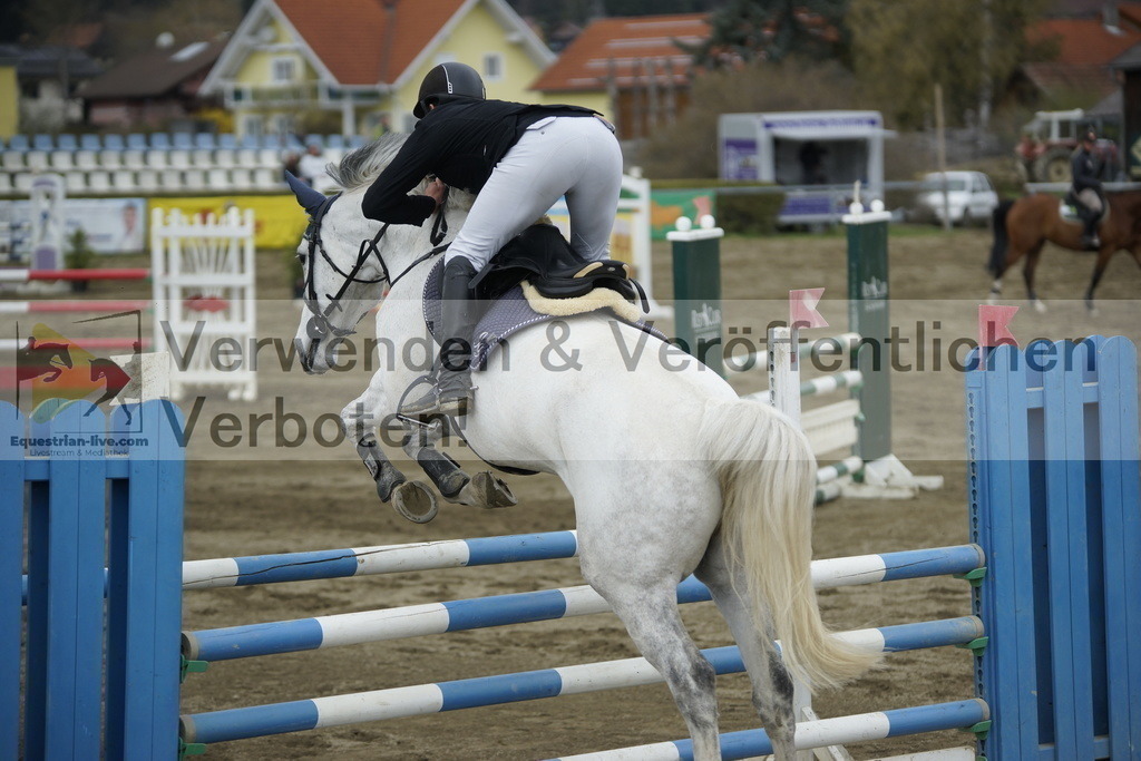 _DSC7436 | equestrian-live-com