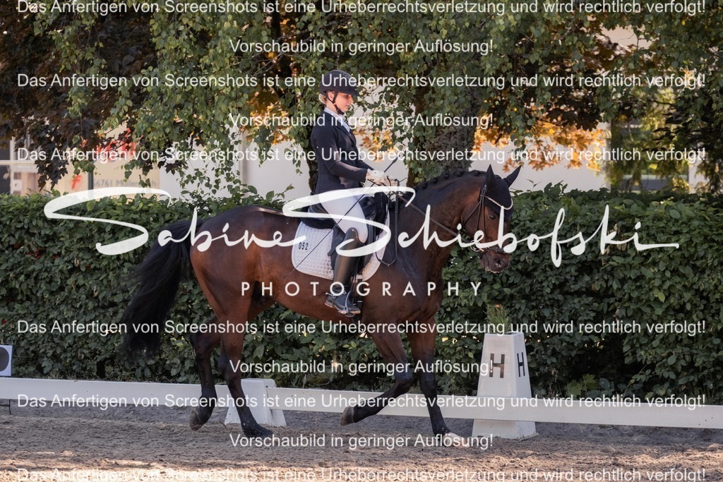 2025_05_31_DSCF3084 | People- und Tierfotografie, Imageaufnahmen, Veranstaltungsfotografie und Wandbilder aus der Natur ★ Made in Germany ✔️ Druck + Downloads ✔️ Naturfotografie in Top Qualität ★ schneller Versand, weltweite Lieferung! - Realisiert mit Pictrs.com