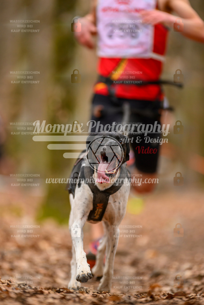 MompixPhotography_Habay2025_SA_CCC-15 | PayLife