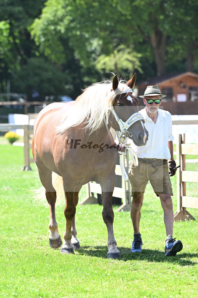 Kat-Nr. 40 Uschi v. Jurano_Ingerl_18250720 | hf-fotografie - Realizzato con Pictrs.com