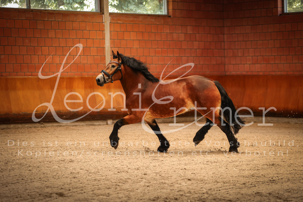 SaFL00043 | Leoni Ertmer Photography - Realisiert mit Pictrs.com