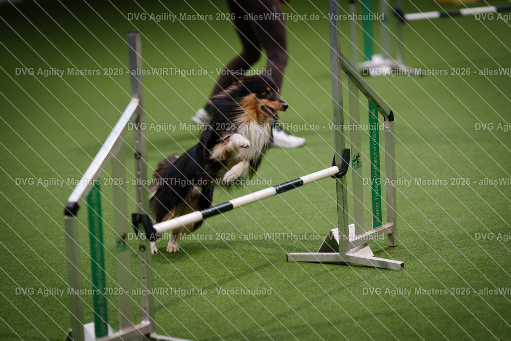 allesWIRTHgut_Tierfotografie-DVG_Agility_Masters_2026-16_35-7R503880 | Professionelle Tierfotografie in Mönchengladbach von Daniel Wirth (allesWIRTHgut). Liebevolle & natürliche Bilder von Hunden & Katzen für unvergessliche Erinnerungen.