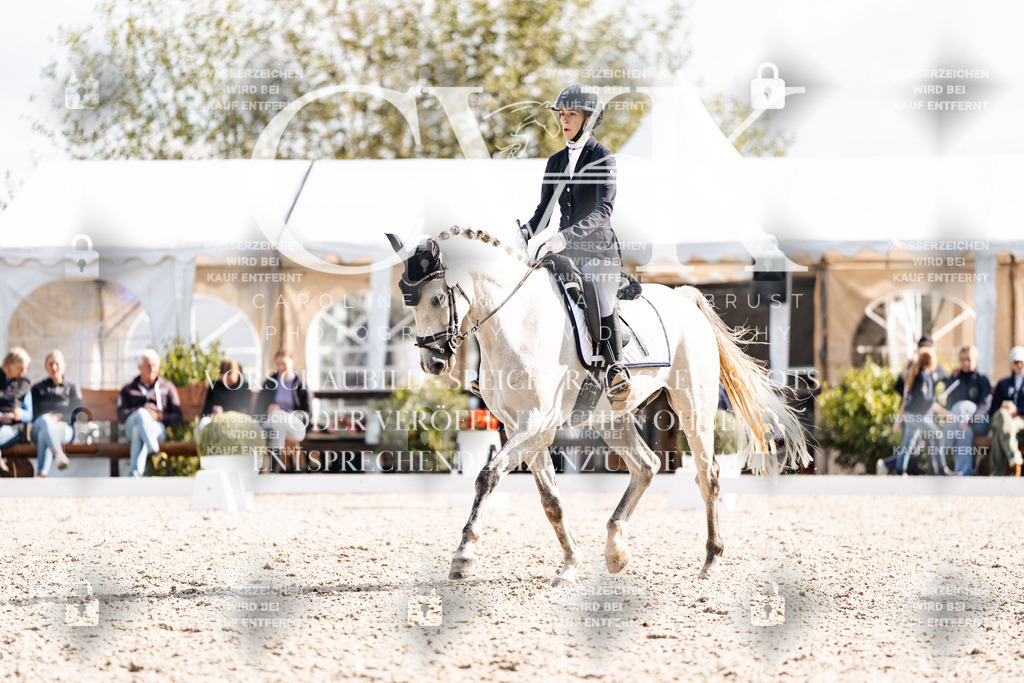 CK902011 | Turnierfotografie Pferdefotografie Trier Rheinland-Pfalz Pferdesport Reitsport Tierfotografie Sportfotografie Pferdevideo Pferdevideografie Equestrianvideography equestrianphotography  - Realisiert mit Pictrs.com