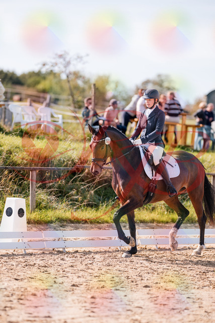 2026_10_03_Siefer-Hof_125447_Z81_42746415 | Professionelle Reitsport-, Turnier- und Eventfotografie von Robert Broda. Galerien mit ausgewählten und bearbeiteten Bildern direkt online ansehen und bestellen.