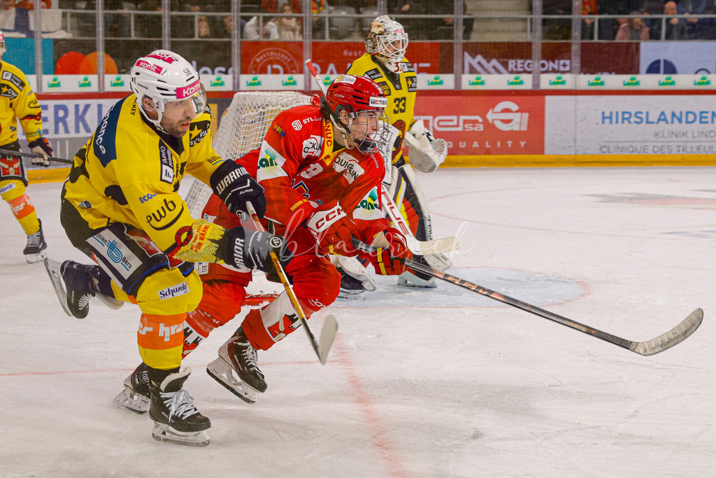 EHCB vs SCB 20260110_wb-3740 | Sportbilder, Sportfotograf, Hochzeits- und Eventfotografin, Flugshows, Portraits und Tiershooting, Aviation, Downhill, Nationalleague, Swissleague, International