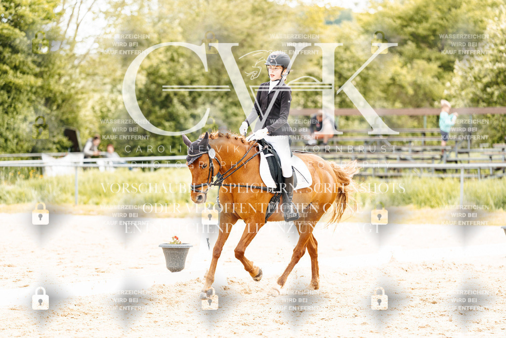 CK904641 | Turnierfotografie Pferdefotografie Trier Rheinland-Pfalz Pferdesport Reitsport Tierfotografie Sportfotografie Pferdevideo Pferdevideografie Equestrianvideography equestrianphotography  - Realisiert mit Pictrs.com