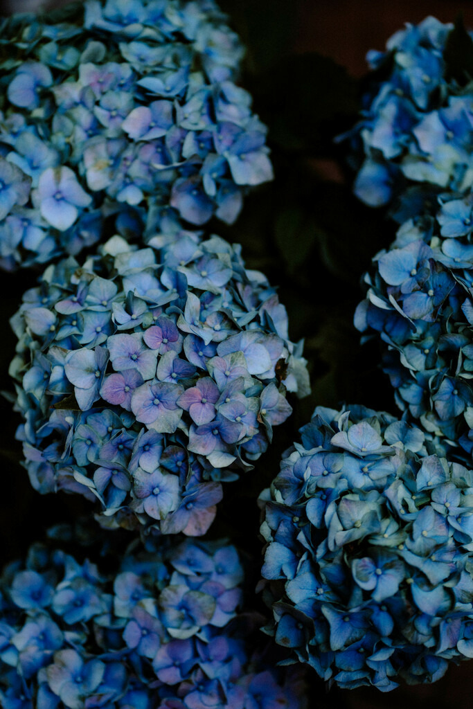 DSC00596 | Print Shop 
Fotografie
Posterdruck
Landschaftsfotografie
Reisefotografie
Naturfotografie
Anja Brandes Poster 
Anja Brandes Photography 
Prints for Walls 
Printable 
Posterdrucke
Poster aesthetic 
Poster Wall 
Poster Prints 
Poster schwarz weiß - Realisiert mit Pictrs.com