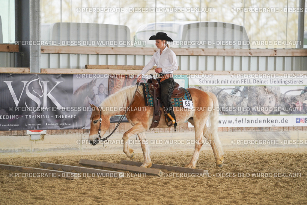 DSC01178 | Pferdegrafie