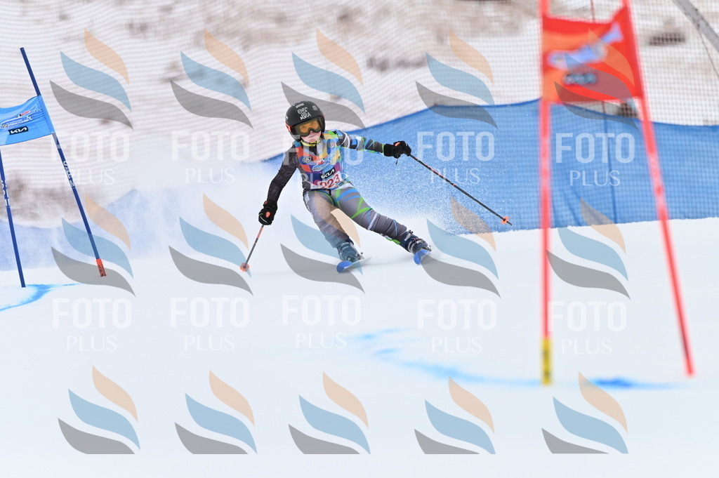 BGV_3209 | holidayphoto