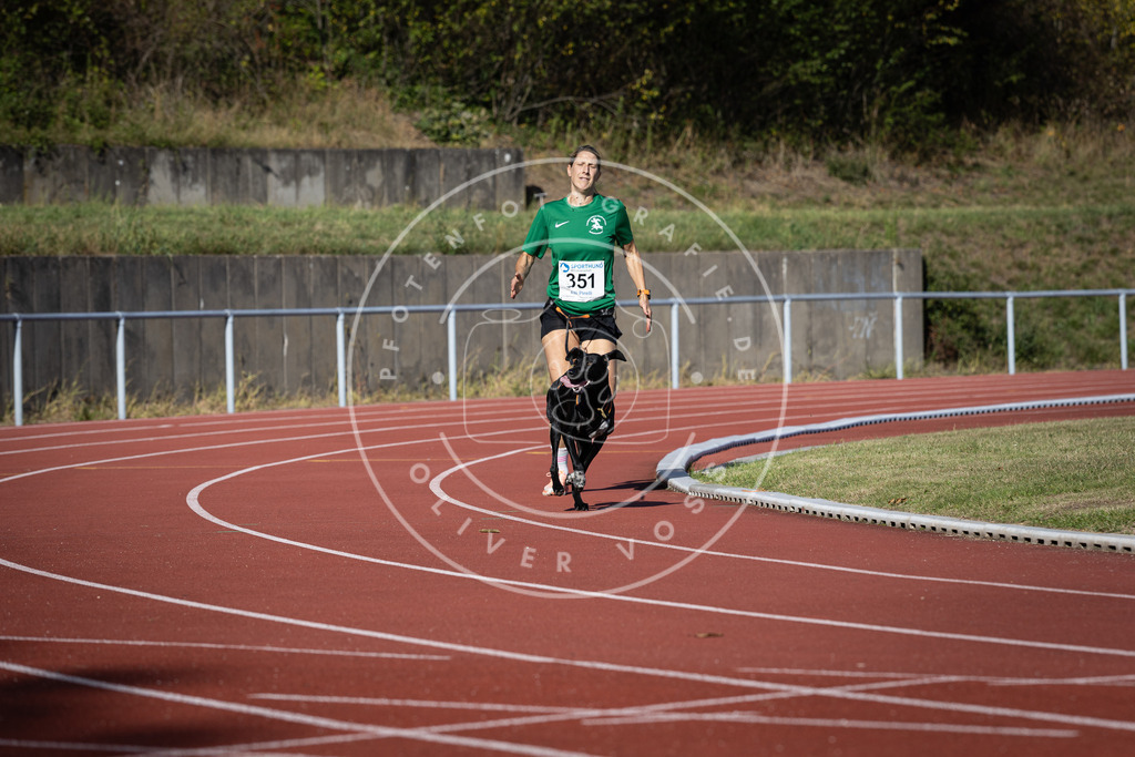Pfotenfotografie_DV3A9110 | Hundefotografie, Tierfotograf, Pfotenfotografie, Fotoshooting Hund, Hunde Portrait, Hundesport, Hundeportraits, Heideshooting, Hunde, Sportfotograf, Hundefotograf, Turnierhundsport, THS,  - Realisiert mit Pictrs.com