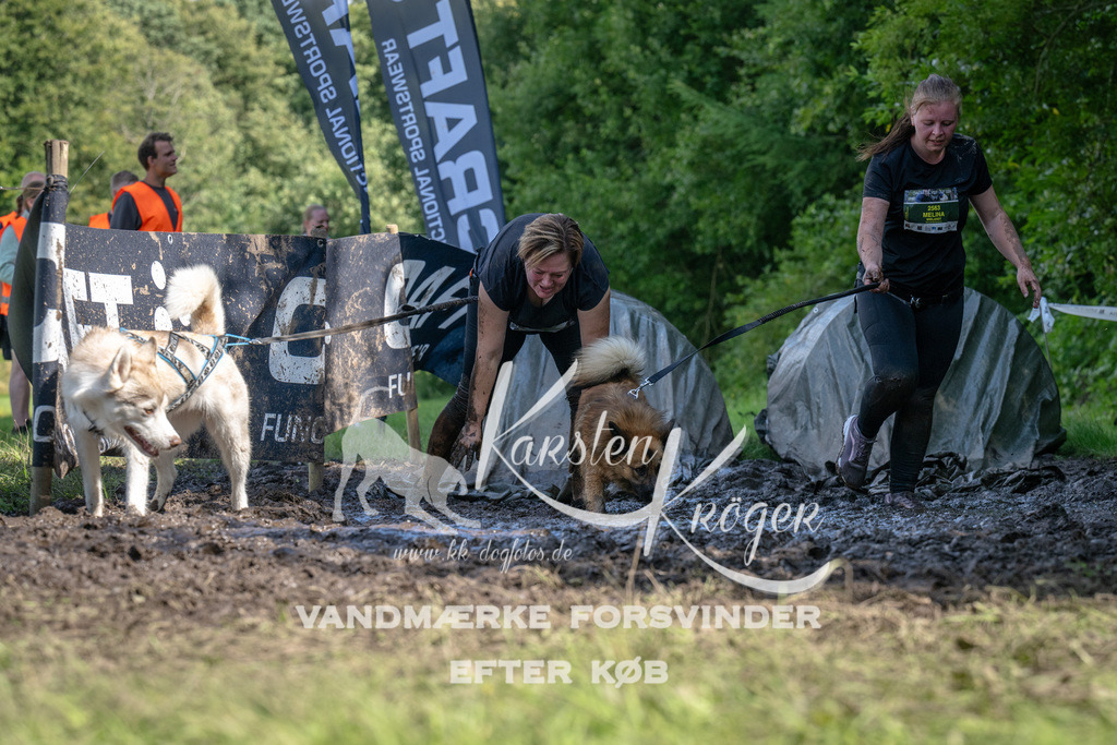 1517_ZZ91304 | kk-dogfotos