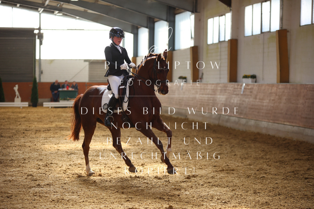 IMGT9960 | pl-fotografie