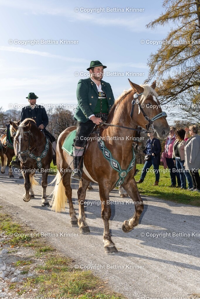 LBT24-1597 | foto-bettina-krinner - Realisiert mit Pictrs.com