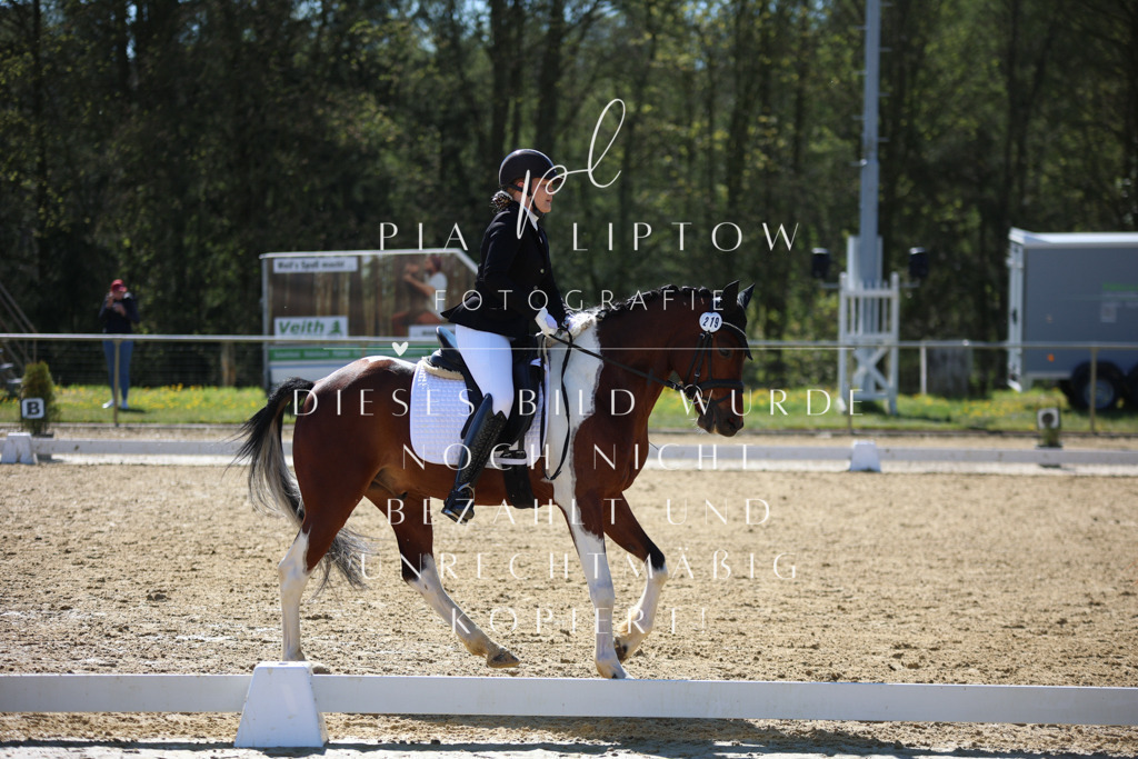 IMGT0386 | pl-fotografie