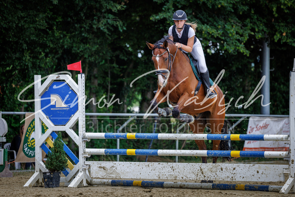 20260705-_3LI5324 | Tierfotografie Pferde, Hunde, Katzen, Haustiere.
Turnierfotografie Reitturniere, Reiten, Springreiten, Dressur in Hanau, dem Main-Kinzig-Kreis und dem Rhein-Main- Gebiet um Frankfurt