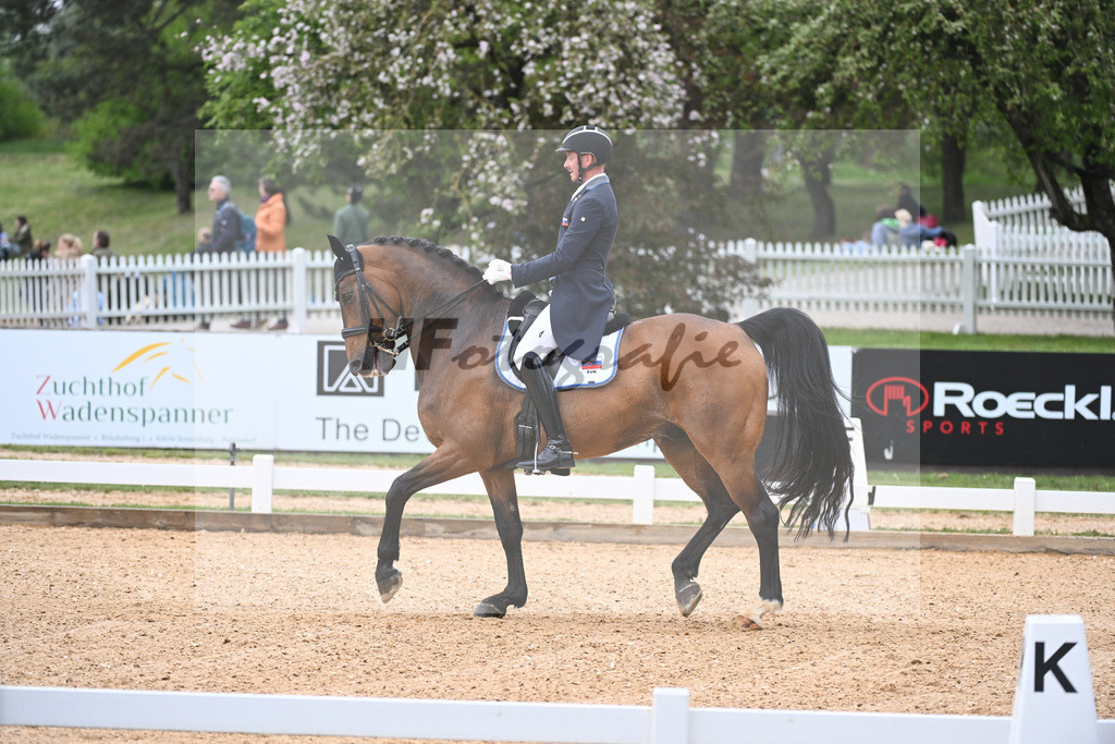 Bugan_For President Awo_11232599 | hf-fotografie - Realisiert mit Pictrs.com