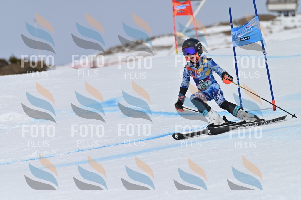 BGV_3788 | holidayphoto