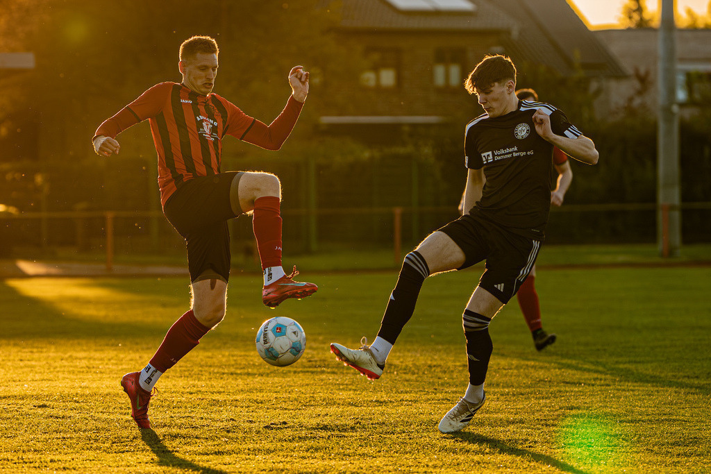 Fußball I Herren I Saison 2025-2026 I Bezirksliga Weser-Ems 4 I 23. Spieltag I TuS Frisia Goldenstedt - SW Osterfeine I 08217 | jns.sportfotos - Realisiert mit Pictrs.com